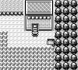 PokemonBlue_06-6_zpse3999995.png