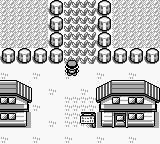 PokemonBlue_28-2.png