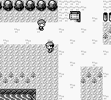 PokemonBlue_40.png