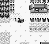 PokemonBlue_48.png