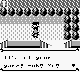 PokemonBlue_80-1.png