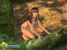 Dead or Alive Xtreme 2 Wallpaper Hitomi the Fist of Innocence