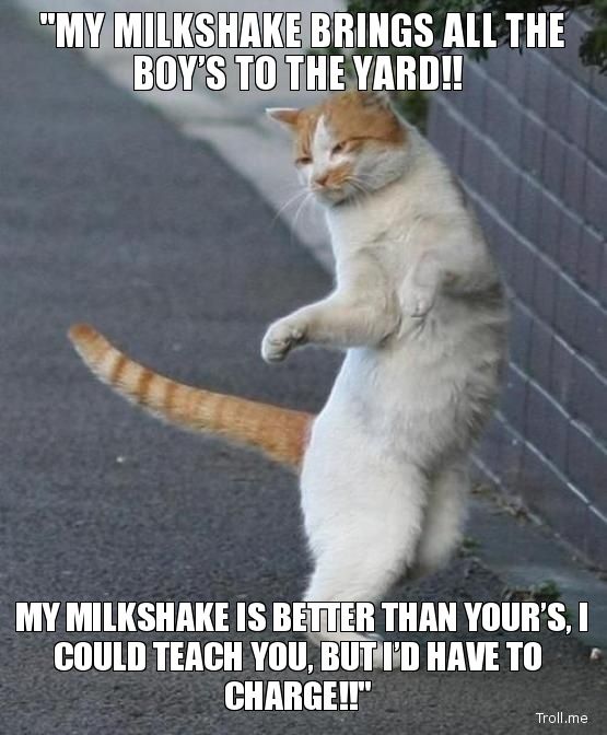my-milkshake-brings-all-the-boys-to-the-yard-my-milkshake-is-better-than-yours-i-could-teach-you-but-id-have-to-charge_zps3787c7d9.jpg