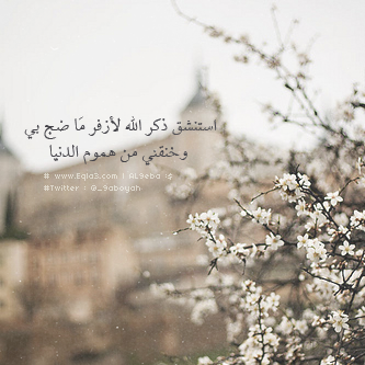  635011_zps44a019d7.png