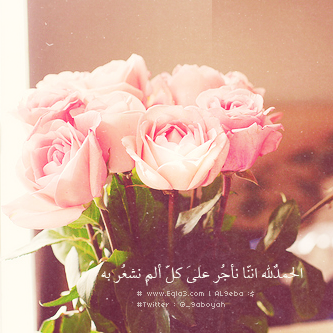  635013_zps64d88410.png