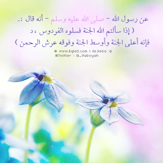  635014_zpsf32f4eb5.png