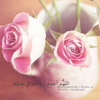  635016_zps10c82442.png