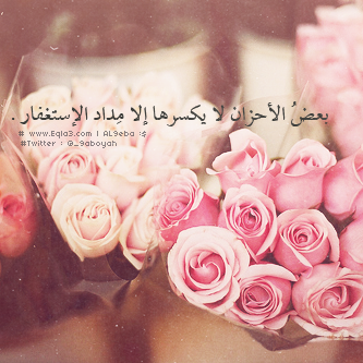  635017_zps087afb2a.png