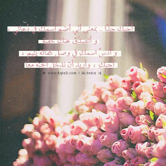  tr13.gif