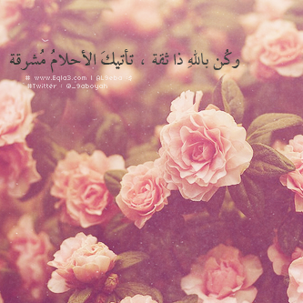  635020_zps5eac5bb9.png