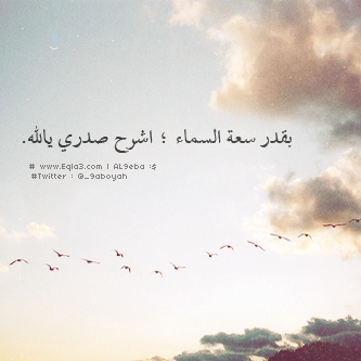  635022_zps5539c5cb.png