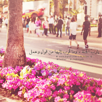  635024_zpsfe51eabc.png