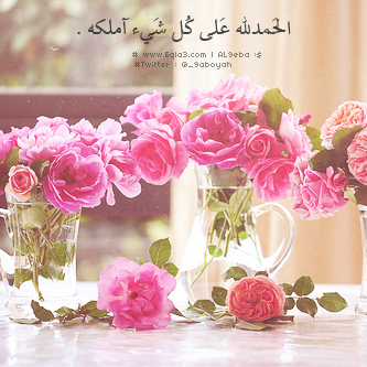  635027_zps81a040a0.png