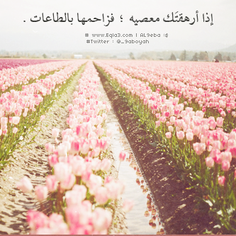  635028_zps5529b4d2.png
