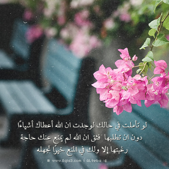  63502_zpsbdc110ba.png