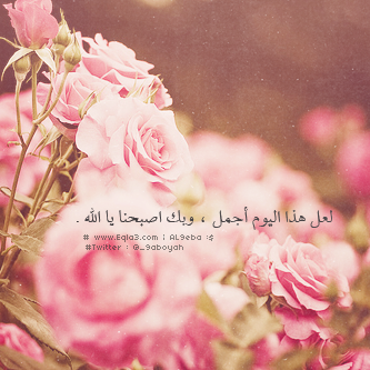  635032_zps583acca3.png