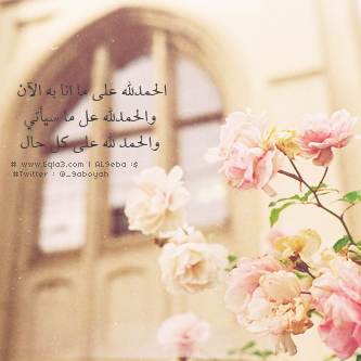  635033_zpsfedc6ea2.png