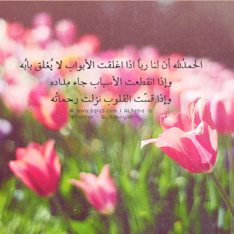  635036_zps3a572ca4.png