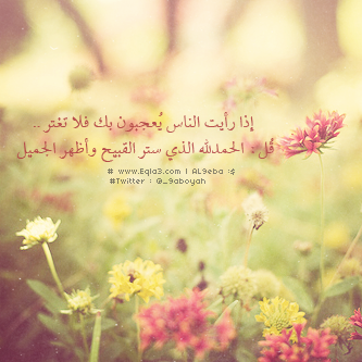  635037_zps4be0331e.png
