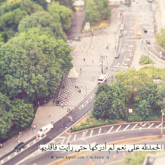  63503_zps094373ca.png