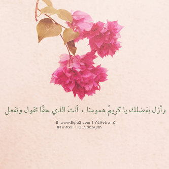  635046_zps230c592d.png