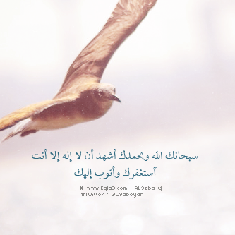  635047_zps198bc4dd.png
