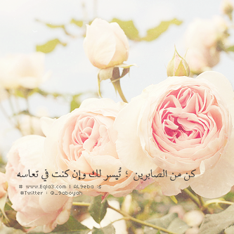  63504_zps8cf45d12.png