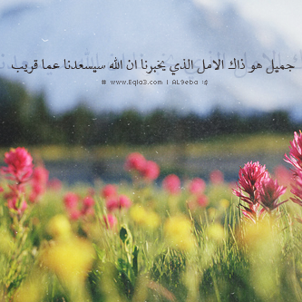  63508_zpsf861fca2.png