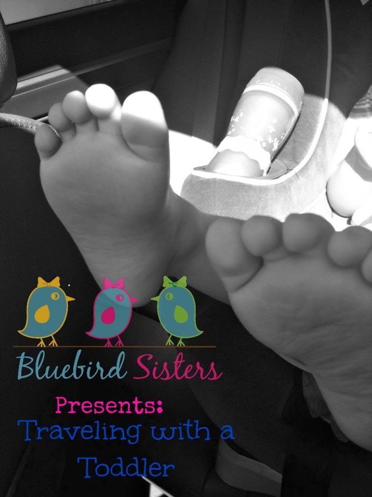 sowell-life-traveling-with-toddlers-bluebird-sisters