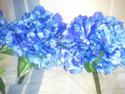 2013-02-25174821_zps5b48fde7