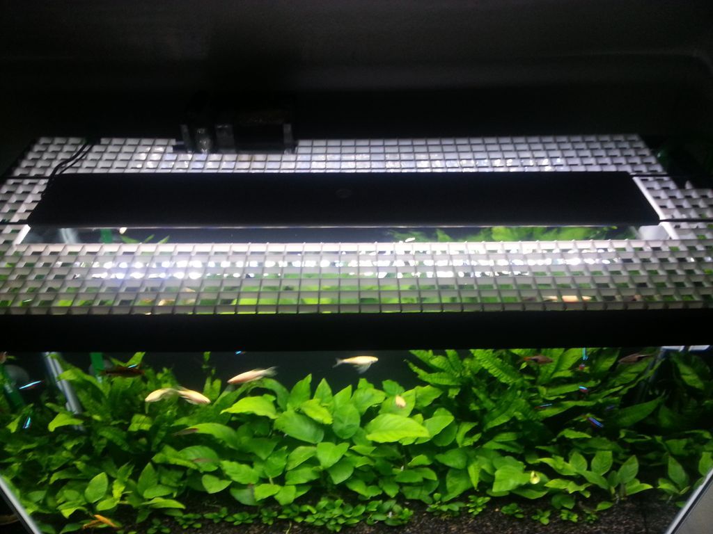 Anyone use egg crate for simple aquaponics The Planted Tank Forum