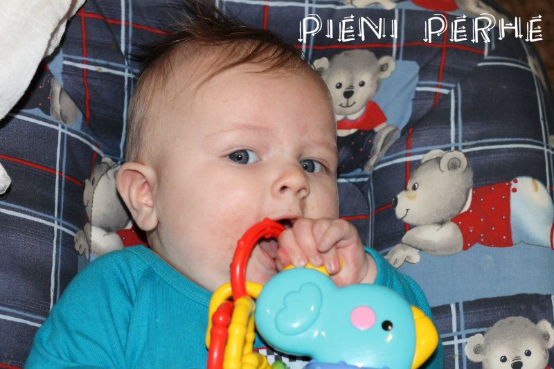IMG_7655_zps740d1f6b