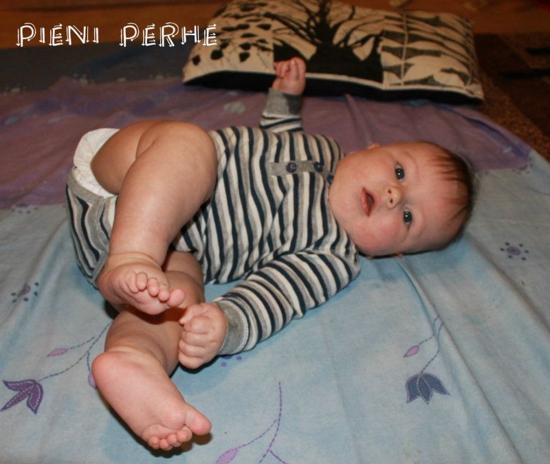 IMG_7734_zps98ce663e