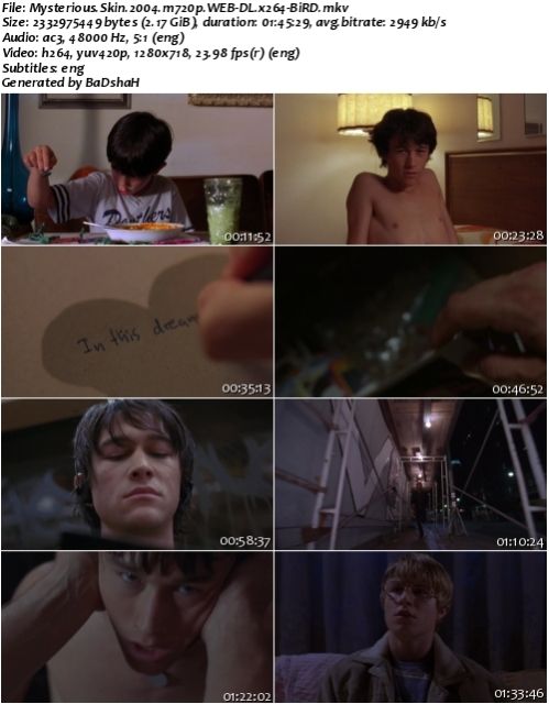 Mysterious Skin (2004) m720p WEB-DL x264-BiRD » Download All You Want ...