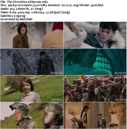 The Chronicles of Narnia: The Lion, the Witch and the Wardrobe (2005) m720p BluRay x264-BiRD
