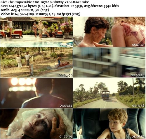 The Impossible (2012) m720p BluRay x264 - BiRD The Impossible (2012) m720p BluRay x264 - BiRD