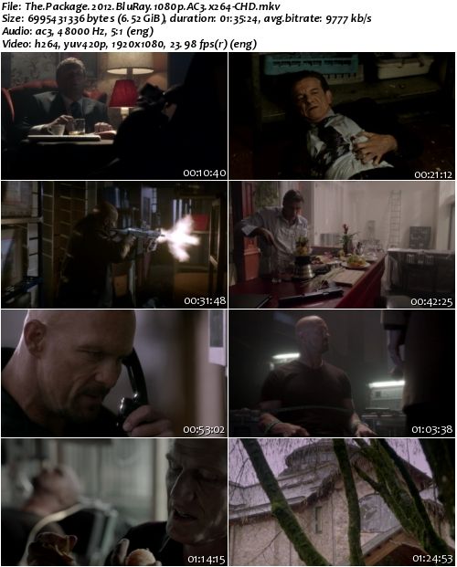 The Package (2012) BluRay 1080p AC3 x264-CHD The Package (2012) BluRay 1080p AC3 x264-CHD