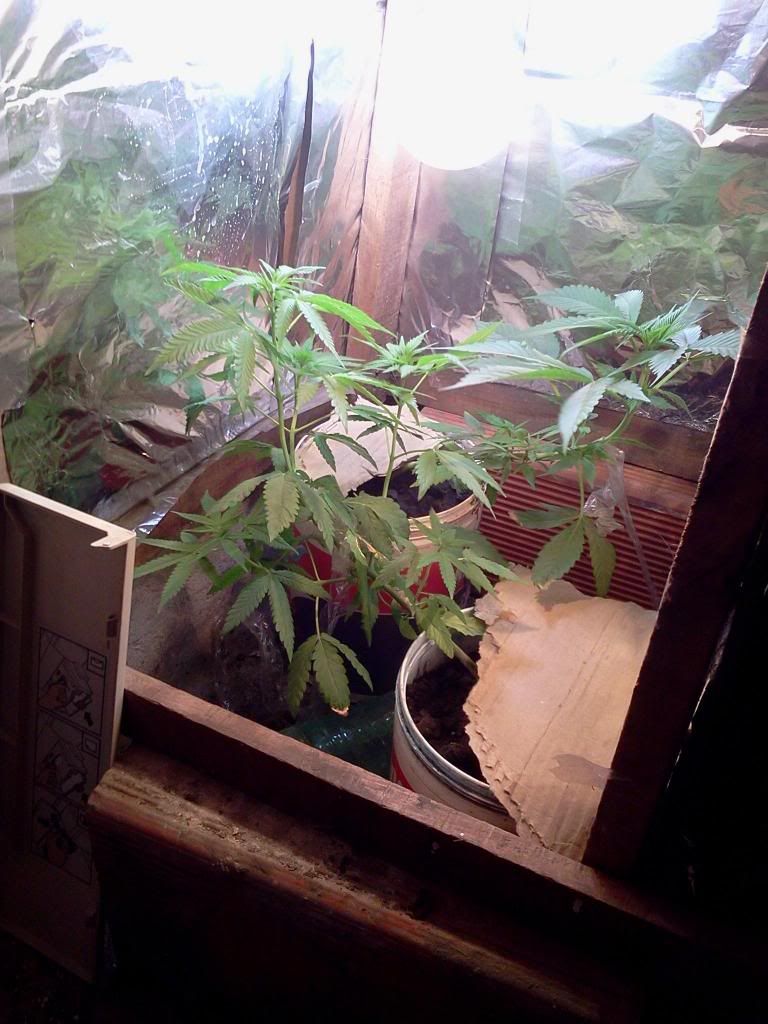 2013-05-21154257_zpsaefcaf0d.jpg