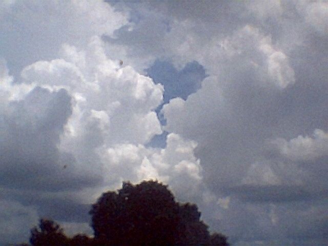 183_zpsdbd9a79c.jpg