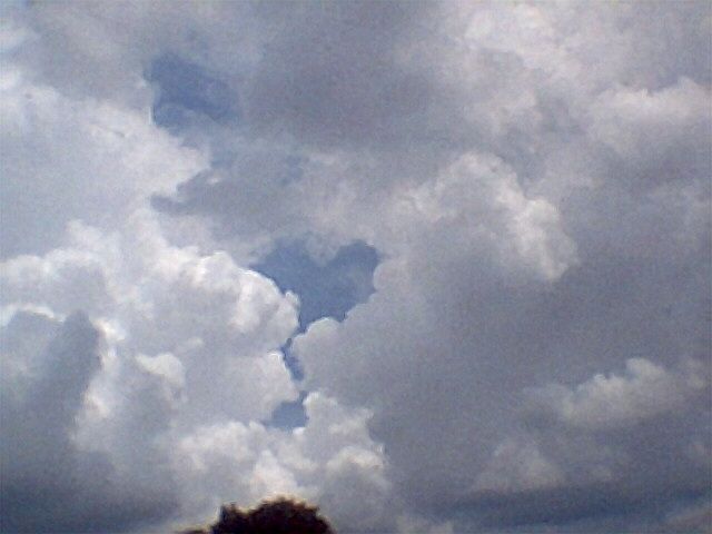 184_zps9c141f67.jpg