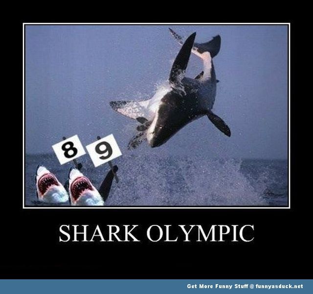 funny-sharks-olympic-pictures_zps1b94a7c