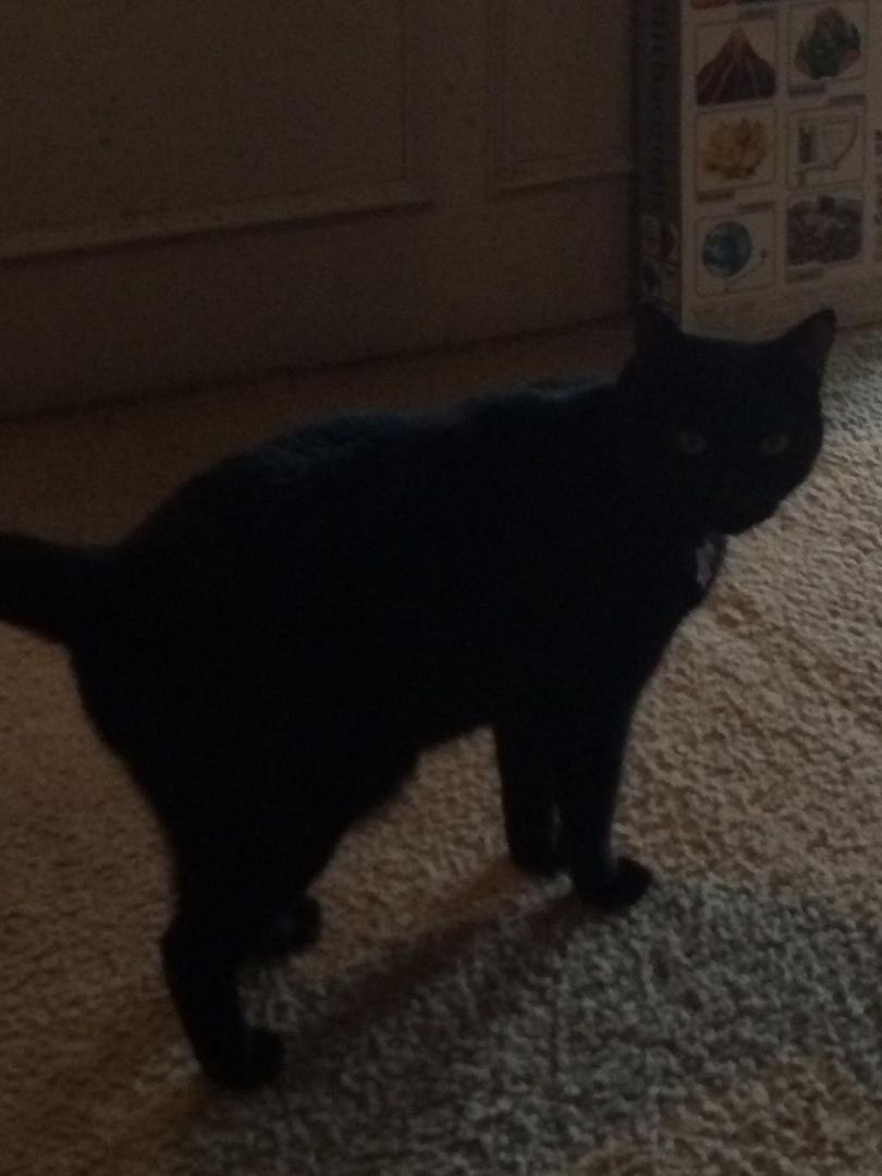 286FAB2B-B4EF-44E0-8C82-3FFA04A8D768_zps