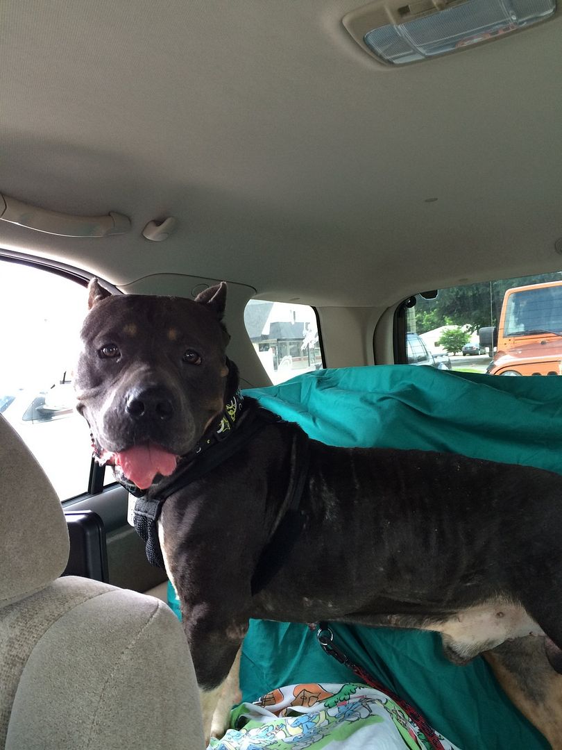 51F1208C-914A-4996-ACE3-01ADC1529375_zps