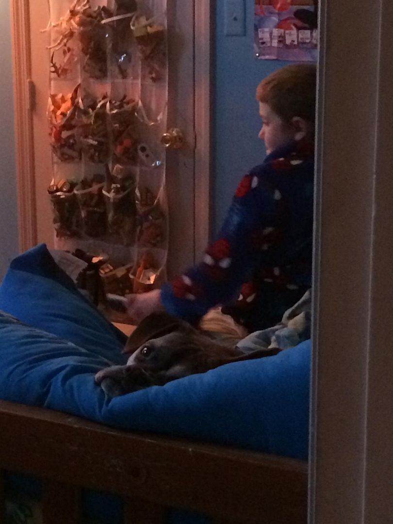 58916E1F-794F-4CDC-9788-F1CA1AB0E0DC_zps