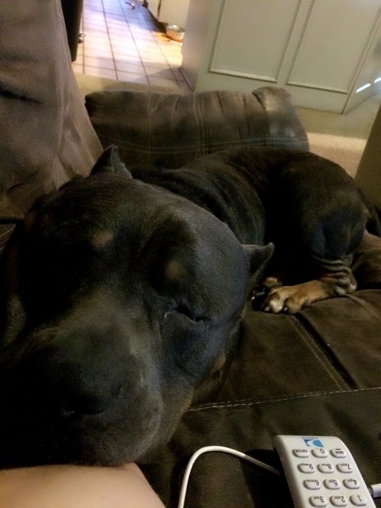 5FD584BB-D32C-4D21-A88B-3F7B14A978F7_zps