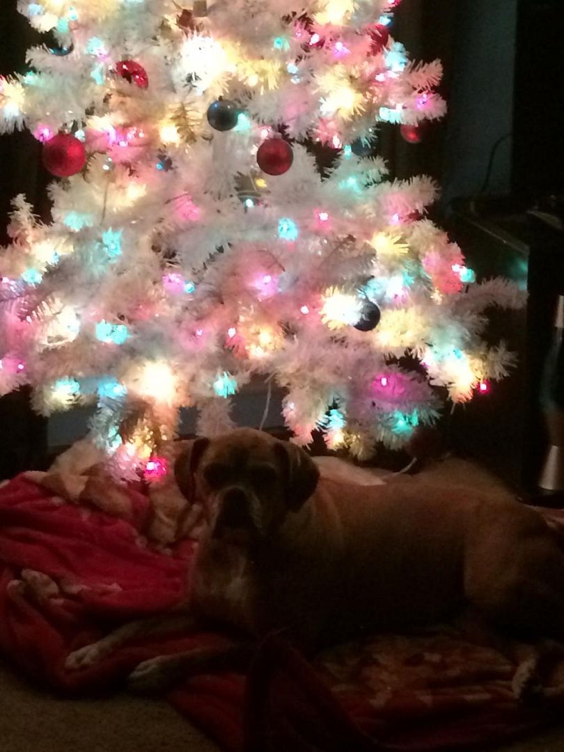 9E5BF55B-3DA9-491E-A362-FD9543FC9DC4_zps