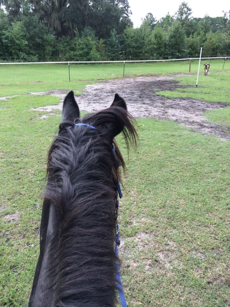 247BB698-CC1A-4F0A-B0FA-AADB63919DC4_zps