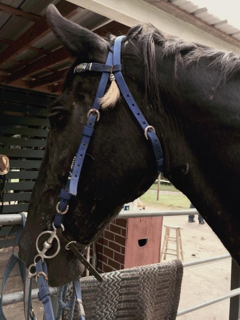 442772EA-67EF-494C-A381-68632693E311_zps