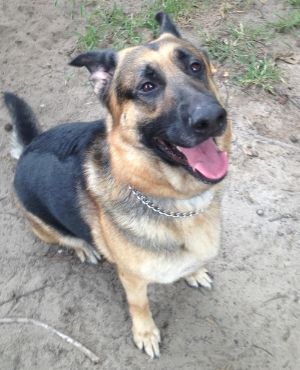 7d3ed7c6-4a31-43a4-b908-09642366395a_zps