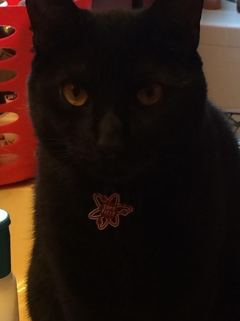 8513F57F-45CF-4859-A3B1-C698E65767C0_zps